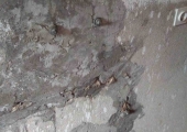 2018-06-26 HO SZM-AKCIJA U DUGOM POLJU (24)