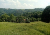 2017-07-21 AKCIJA ZA PETROVDAN (7)