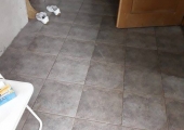 AKCIJA ZA MIOLJKU U KOPRIVNI (4)