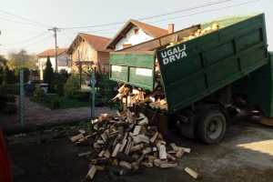 2018-12-10 JANJA I JASMINKA DOBILE DRVA