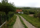 2019-05-10-HO-SZM-ANĐA-GLAVAŠ-9