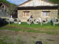 Akcija pomoci Miholjki (4)