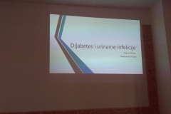 2016-11-14-HO-SZM-PREDAVANJE-O-DIABETESU-14