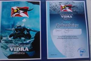Srcem za Vidre